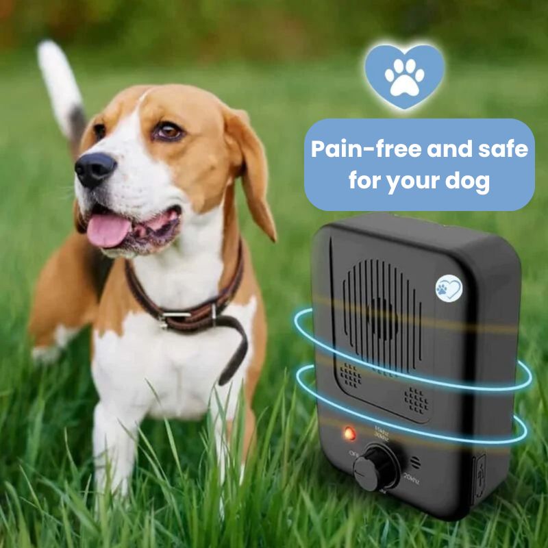 Anti-bark device for dogs | WoofZen™